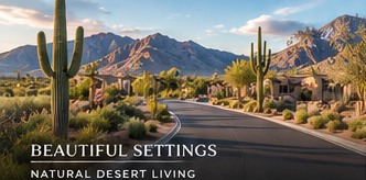 Arizona desert landscape